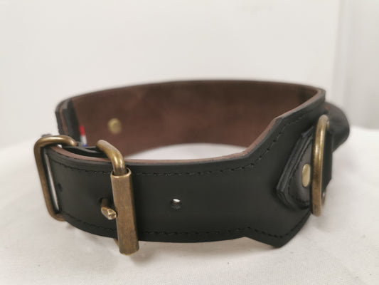 Collier de chien avec poignée